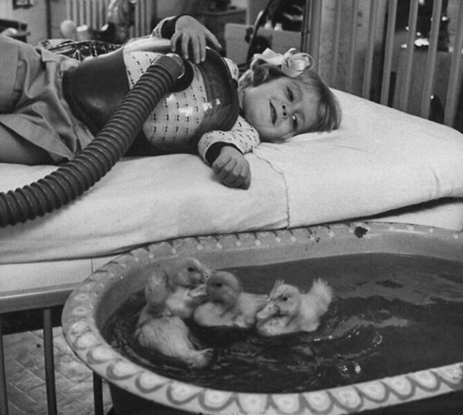 Historical Photos That Offer A Window Into The Past