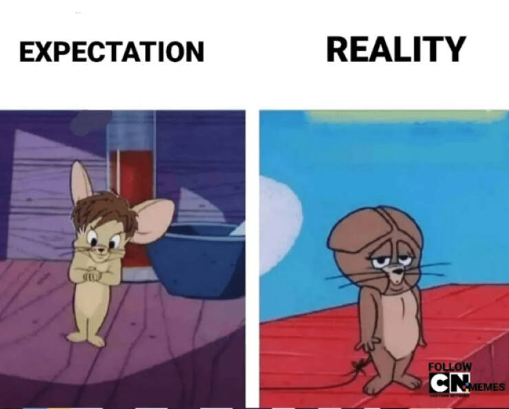 Cartoon Network Memes For Fans