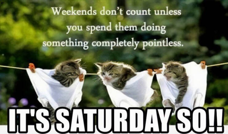 Lazy Saturday Memes To Keep You Laughing All Day