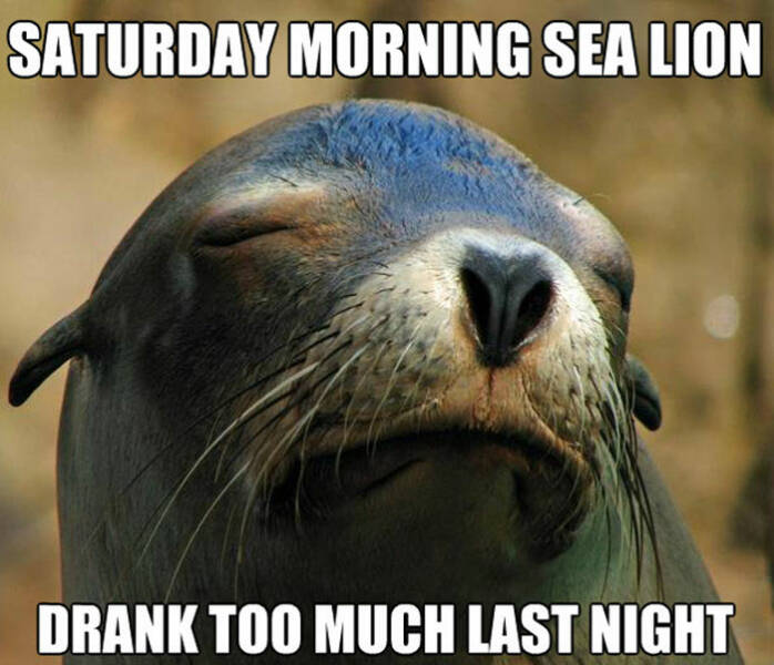 Lazy Saturday Memes To Keep You Laughing All Day