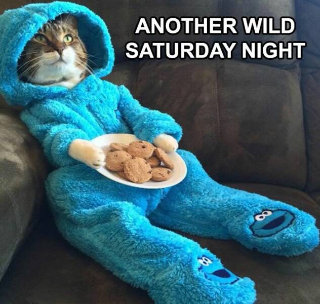 Lazy Saturday Memes To Keep You Laughing All Day