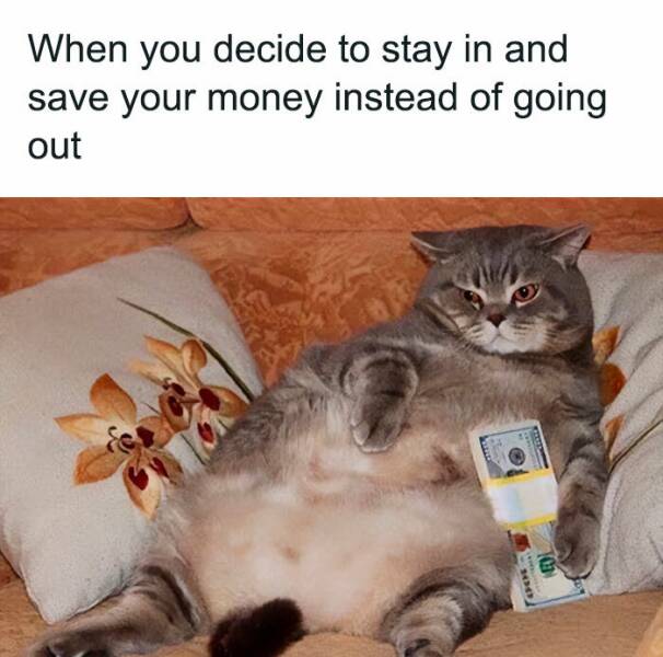 Lazy Saturday Memes To Keep You Laughing All Day