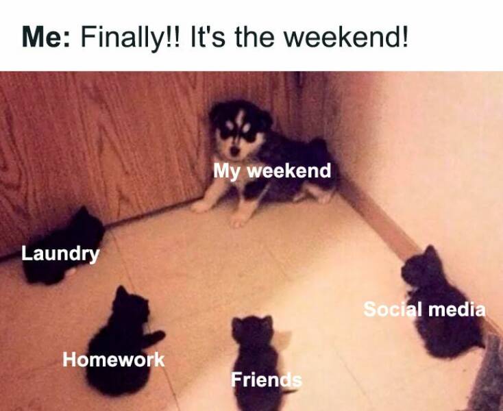 Lazy Saturday Memes To Keep You Laughing All Day
