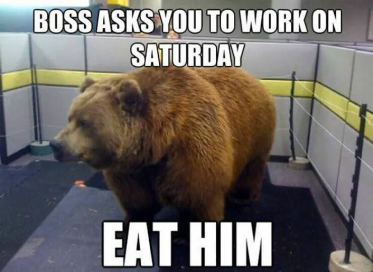 Lazy Saturday Memes To Keep You Laughing All Day