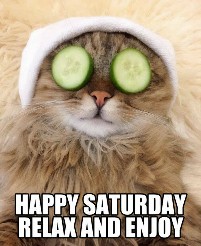 Lazy Saturday Memes To Keep You Laughing All Day