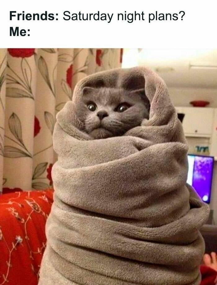 Lazy Saturday Memes To Keep You Laughing All Day