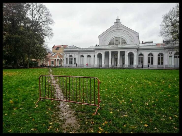 The Rise Of Desire Paths