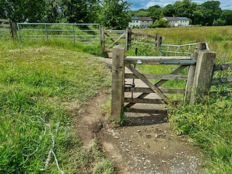 The Rise Of Desire Paths