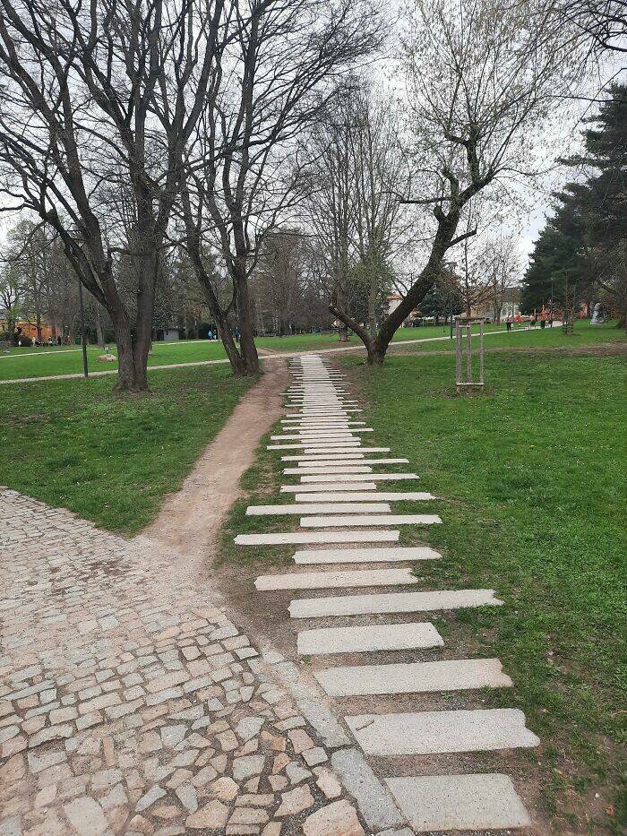 The Rise Of Desire Paths