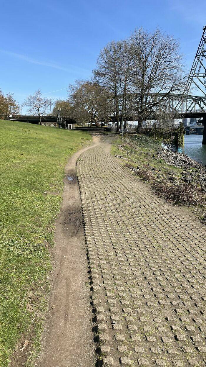 The Rise Of Desire Paths