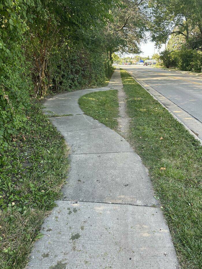 The Rise Of Desire Paths