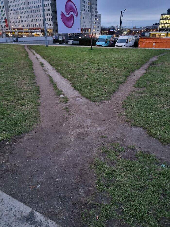 The Rise Of Desire Paths