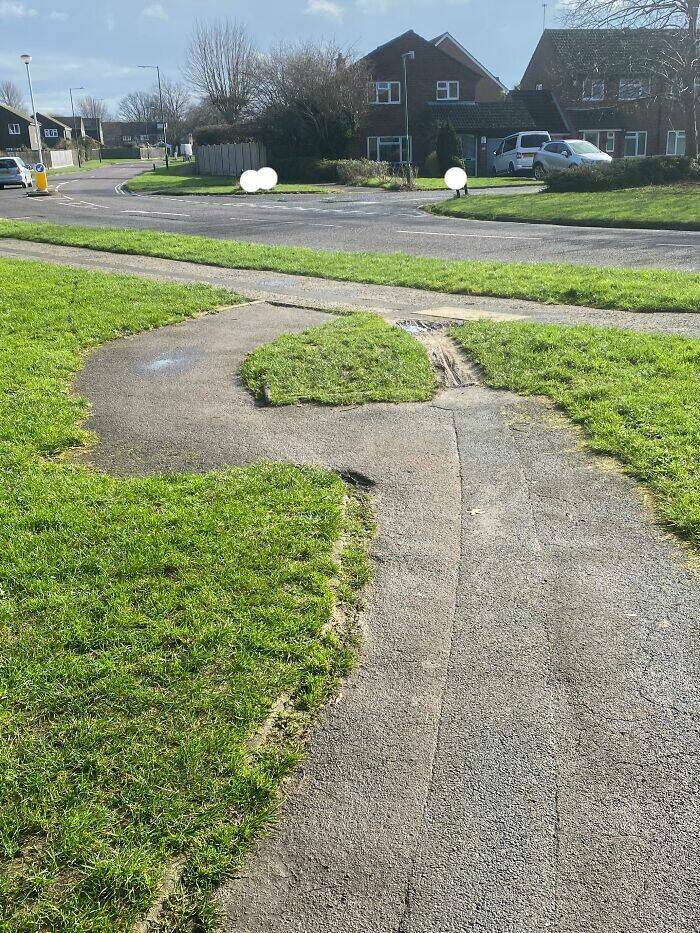 The Rise Of Desire Paths