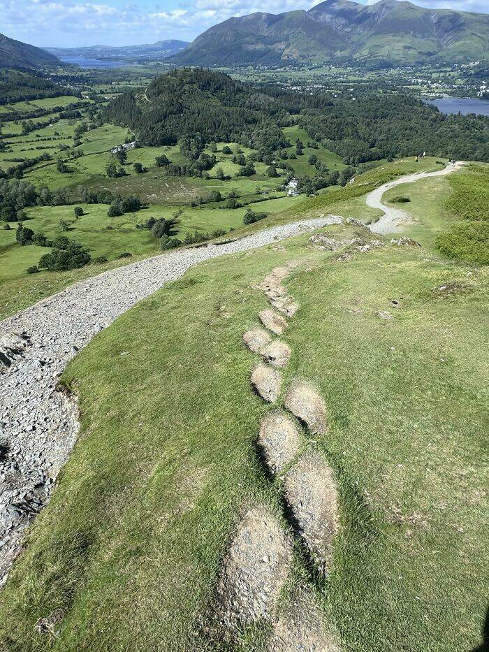 The Rise Of Desire Paths