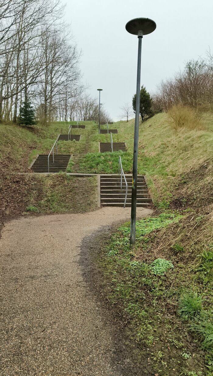 The Rise Of Desire Paths