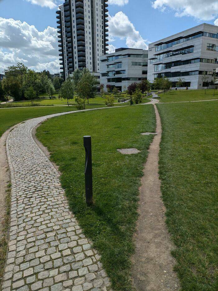 The Rise Of Desire Paths