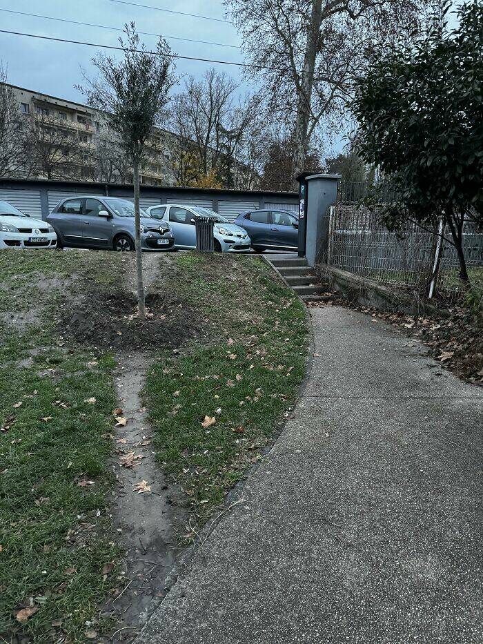 The Rise Of Desire Paths