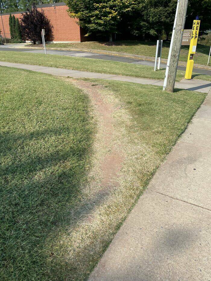 The Rise Of Desire Paths