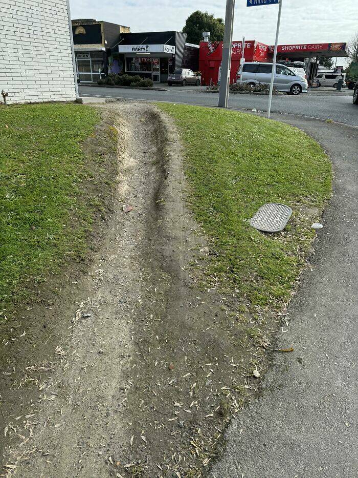 The Rise Of Desire Paths