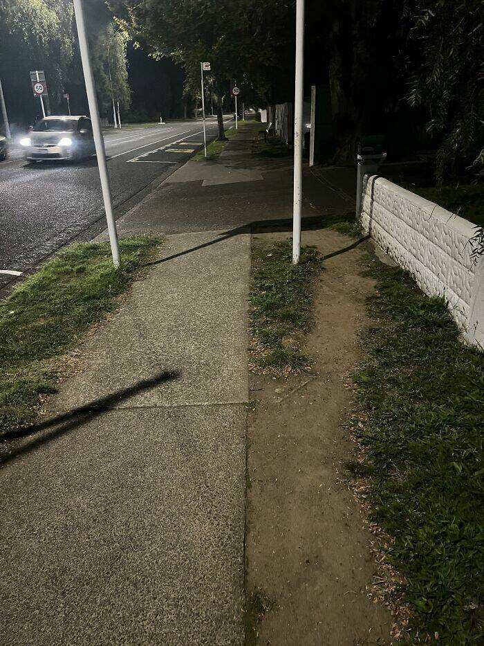 The Rise Of Desire Paths