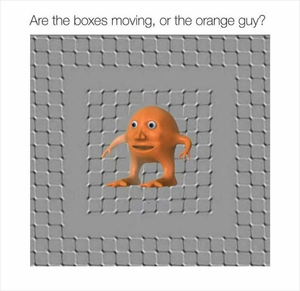 Illusions That Will Make You Question What You’re Seeing