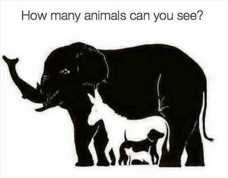 Illusions That Will Make You Question What You’re Seeing
