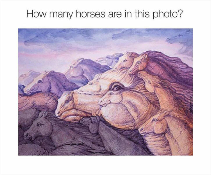 Illusions That Will Make You Question What You’re Seeing