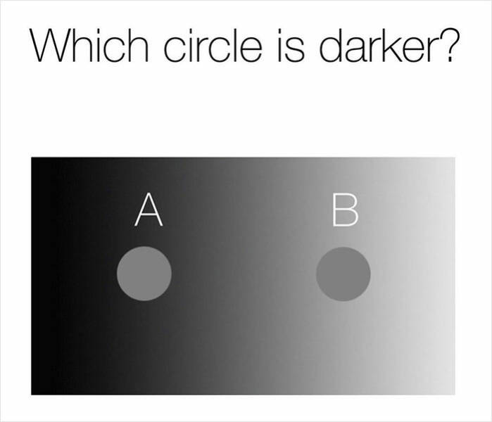 Illusions That Will Make You Question What You’re Seeing
