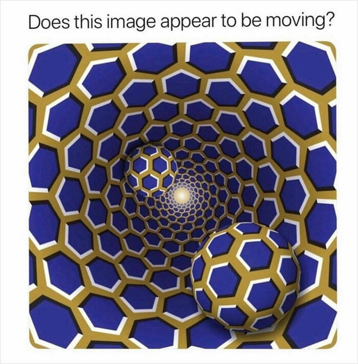 Illusions That Will Make You Question What You’re Seeing