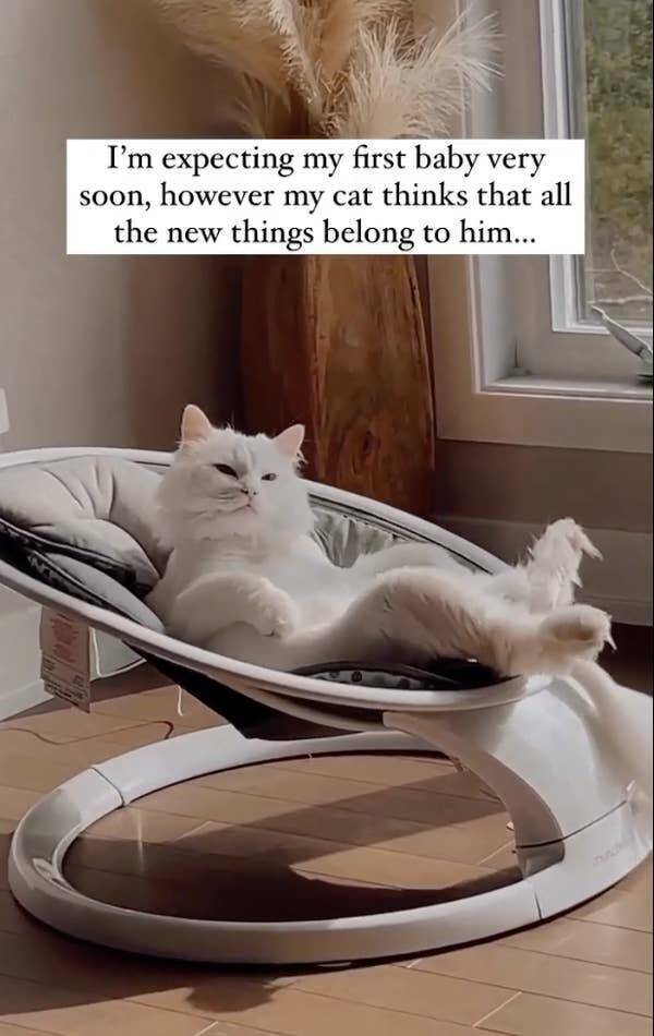 Photos So Funny They’ll Have You Crying With Laughter
