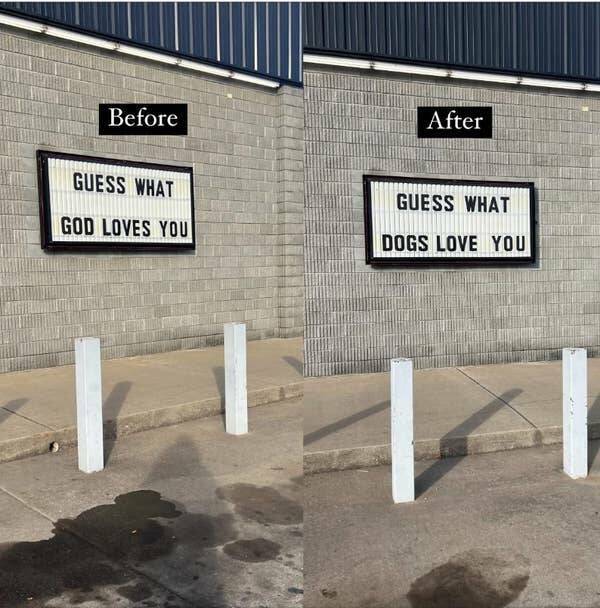 Photos So Funny They’ll Have You Crying With Laughter