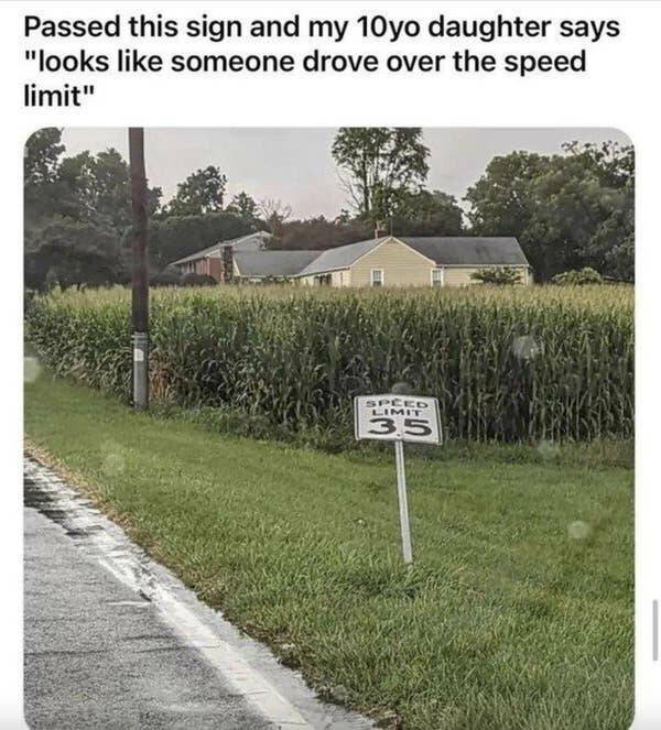Brie-lliant Cheesy Puns That Are Sure To Make You Laugh