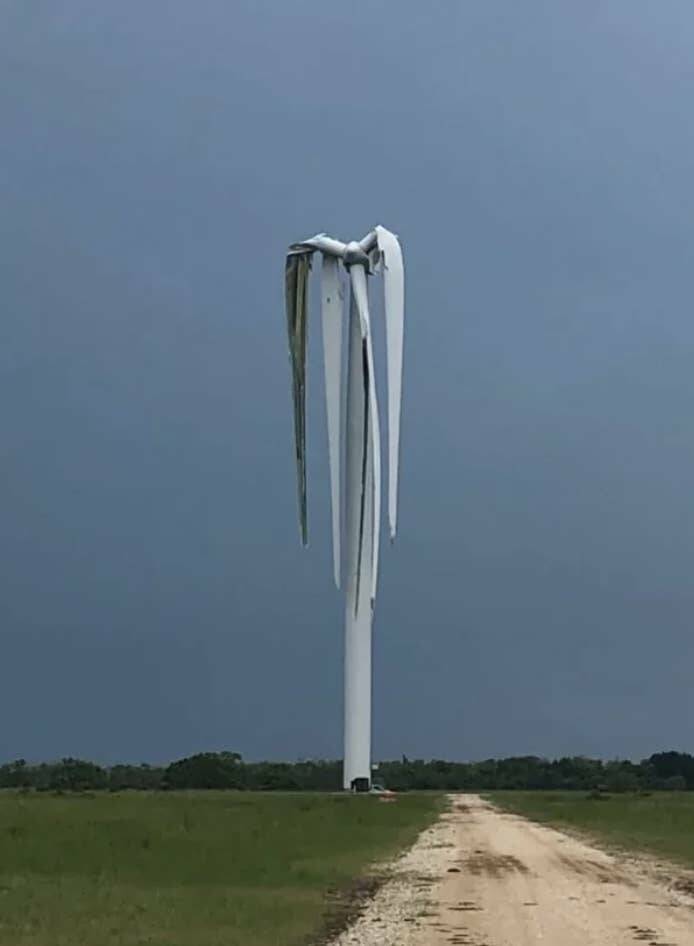 Wild Photos Proving Nature Makes Its Own Rules