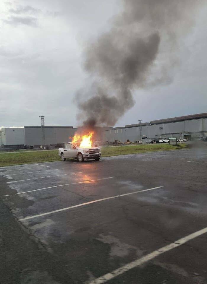 Wild Photos Proving Nature Makes Its Own Rules