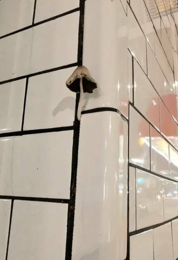 Wild Photos Proving Nature Makes Its Own Rules