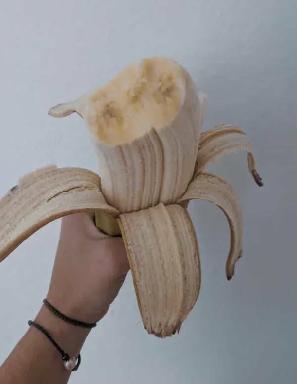 Wild Photos Proving Nature Makes Its Own Rules