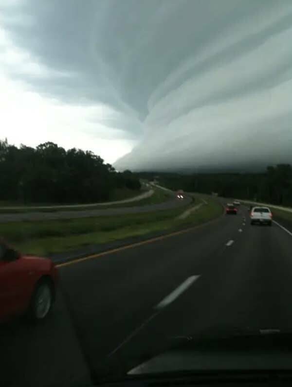 Wild Photos Proving Nature Makes Its Own Rules