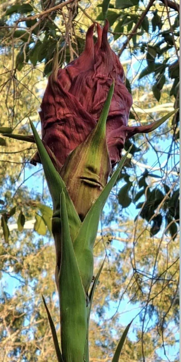 Wild Photos Proving Nature Makes Its Own Rules