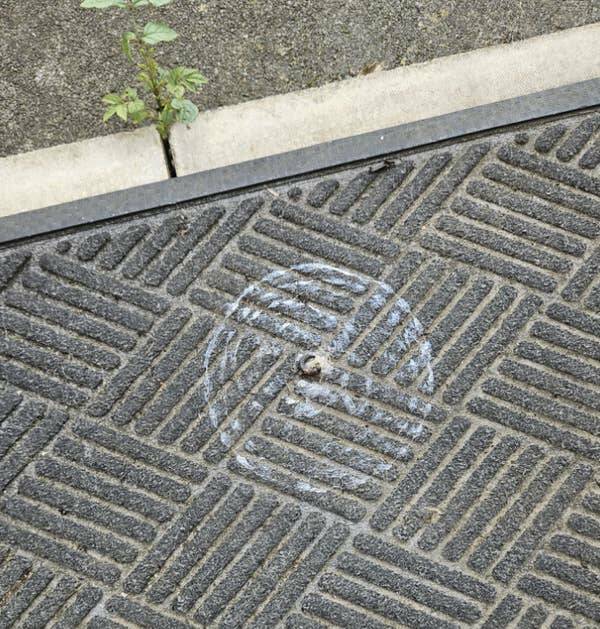 Wild Photos Proving Nature Makes Its Own Rules