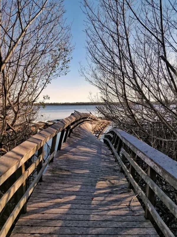 Wild Photos Proving Nature Makes Its Own Rules