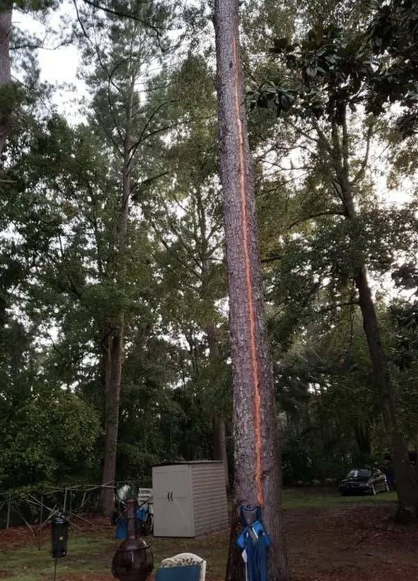 Wild Photos Proving Nature Makes Its Own Rules