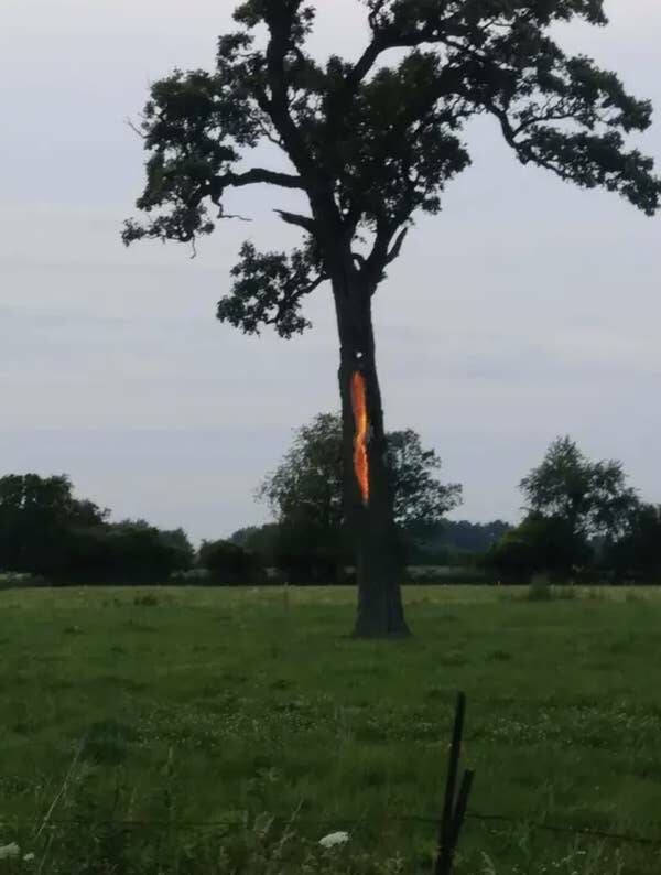 Wild Photos Proving Nature Makes Its Own Rules