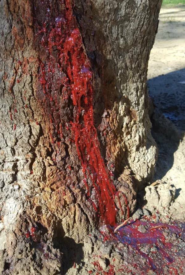 Wild Photos Proving Nature Makes Its Own Rules