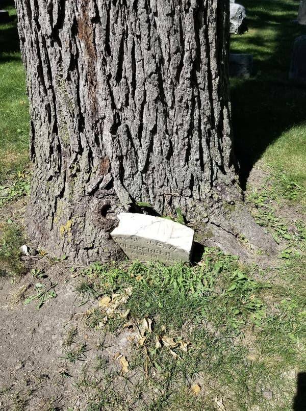 Wild Photos Proving Nature Makes Its Own Rules