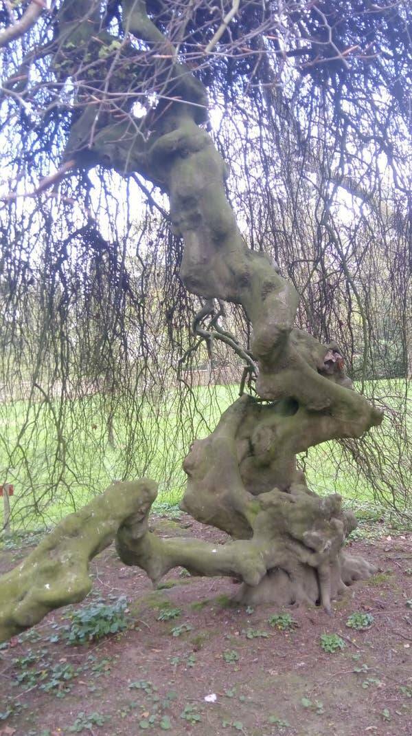 Wild Photos Proving Nature Makes Its Own Rules