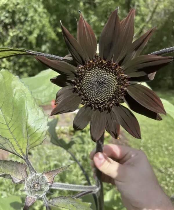 Wild Photos Proving Nature Makes Its Own Rules