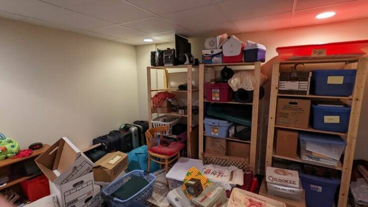 Hidden Cats You’ll Have To Look Twice To Find