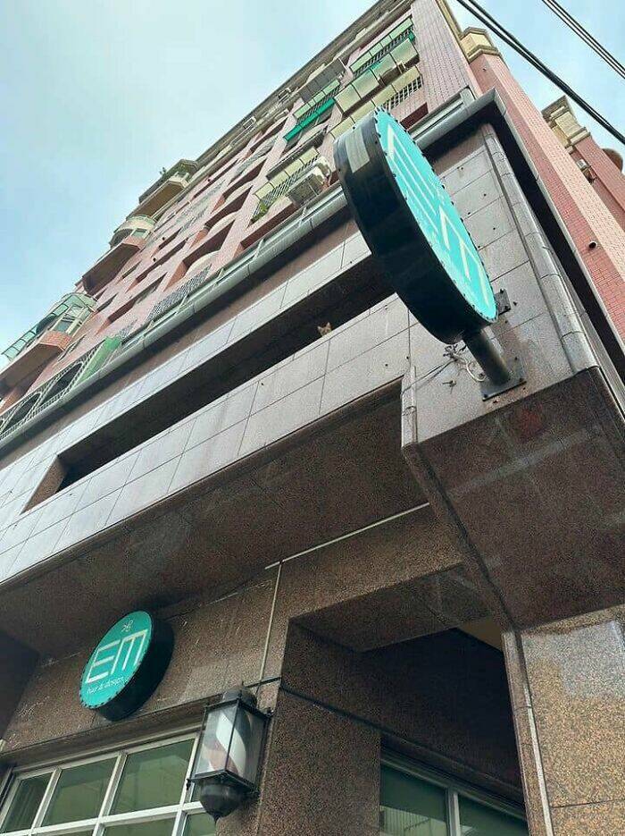 Hidden Cats You’ll Have To Look Twice To Find