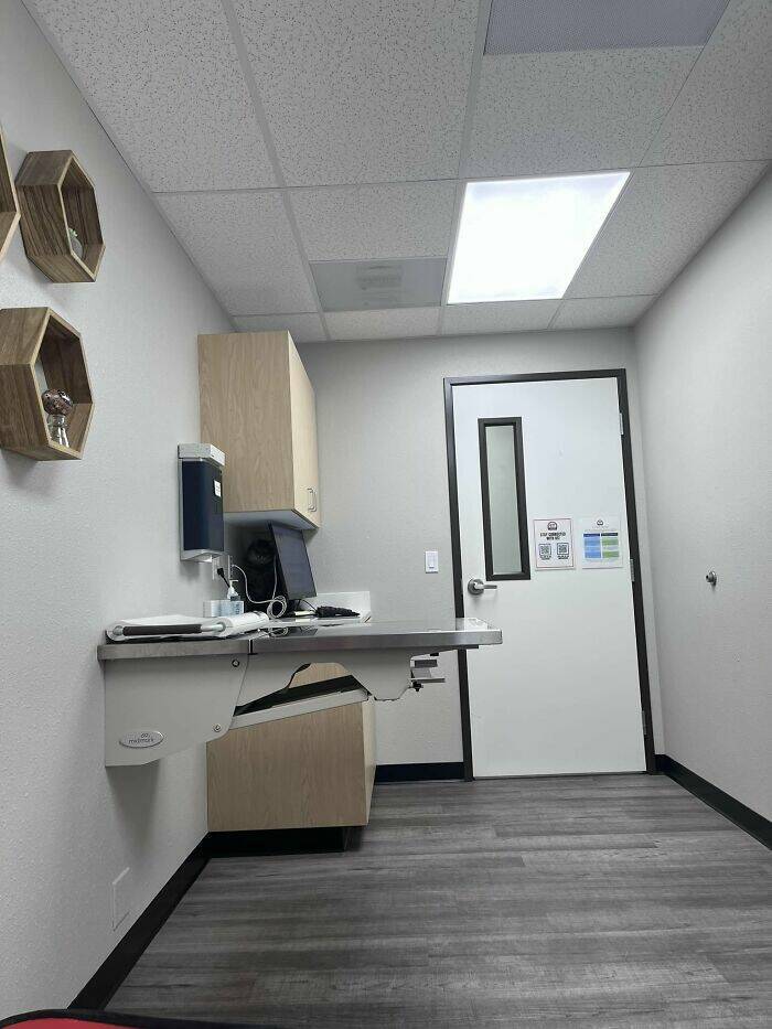 Hidden Cats You’ll Have To Look Twice To Find