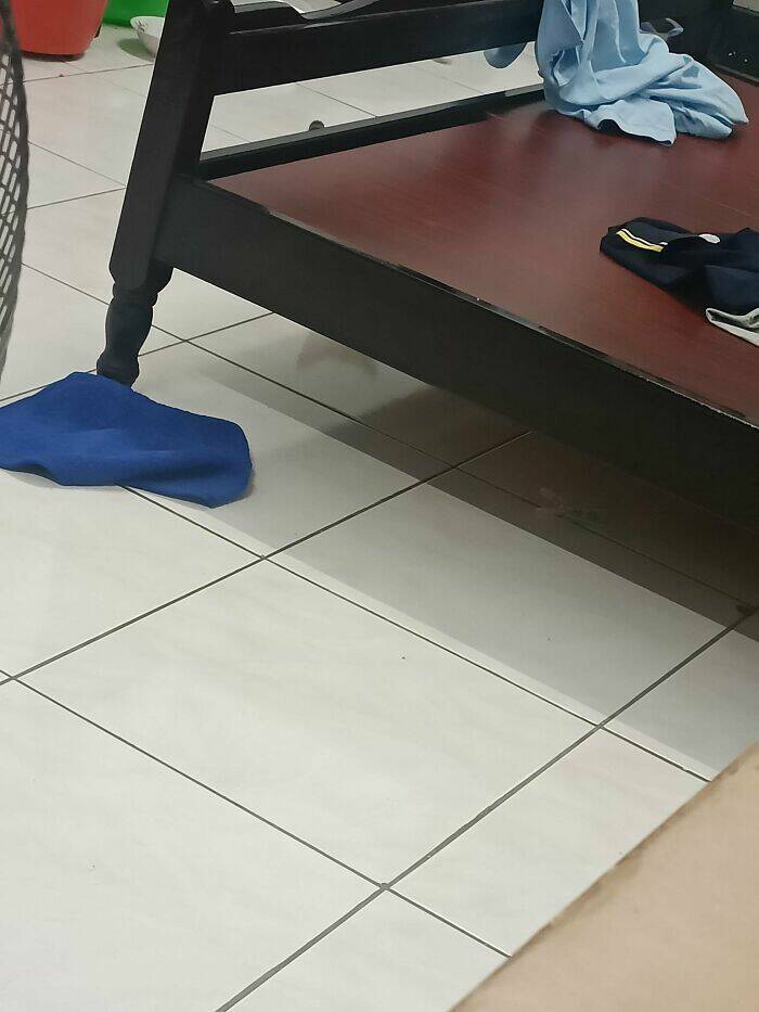 Hidden Cats You’ll Have To Look Twice To Find